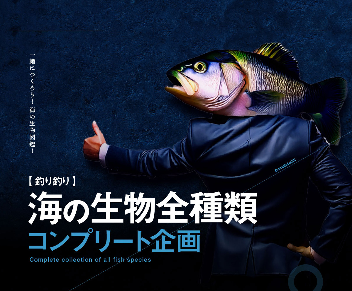 海の生き物・海の幸全種類コンプリート企画