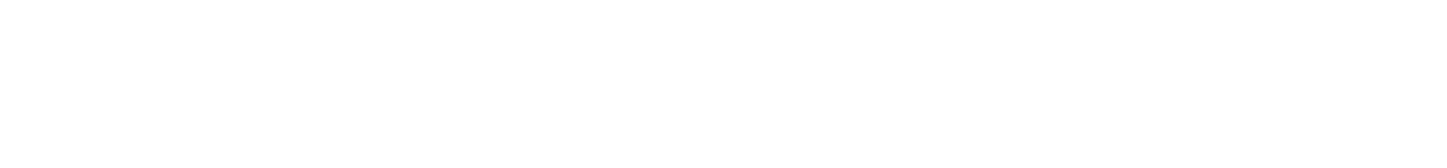種類一覧：その他