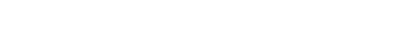 種類一覧：その他