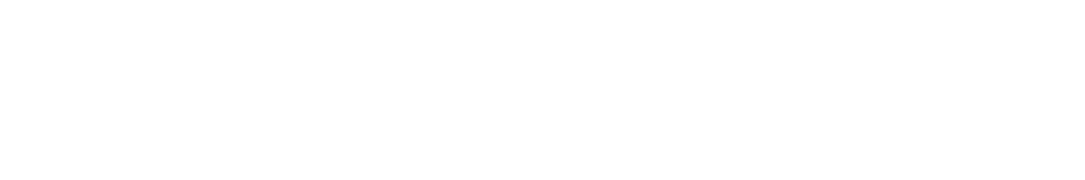 種類一覧：その他