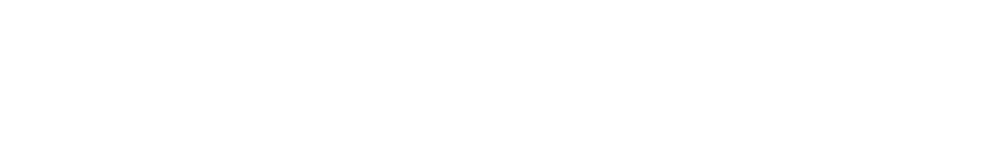 種類一覧：その他