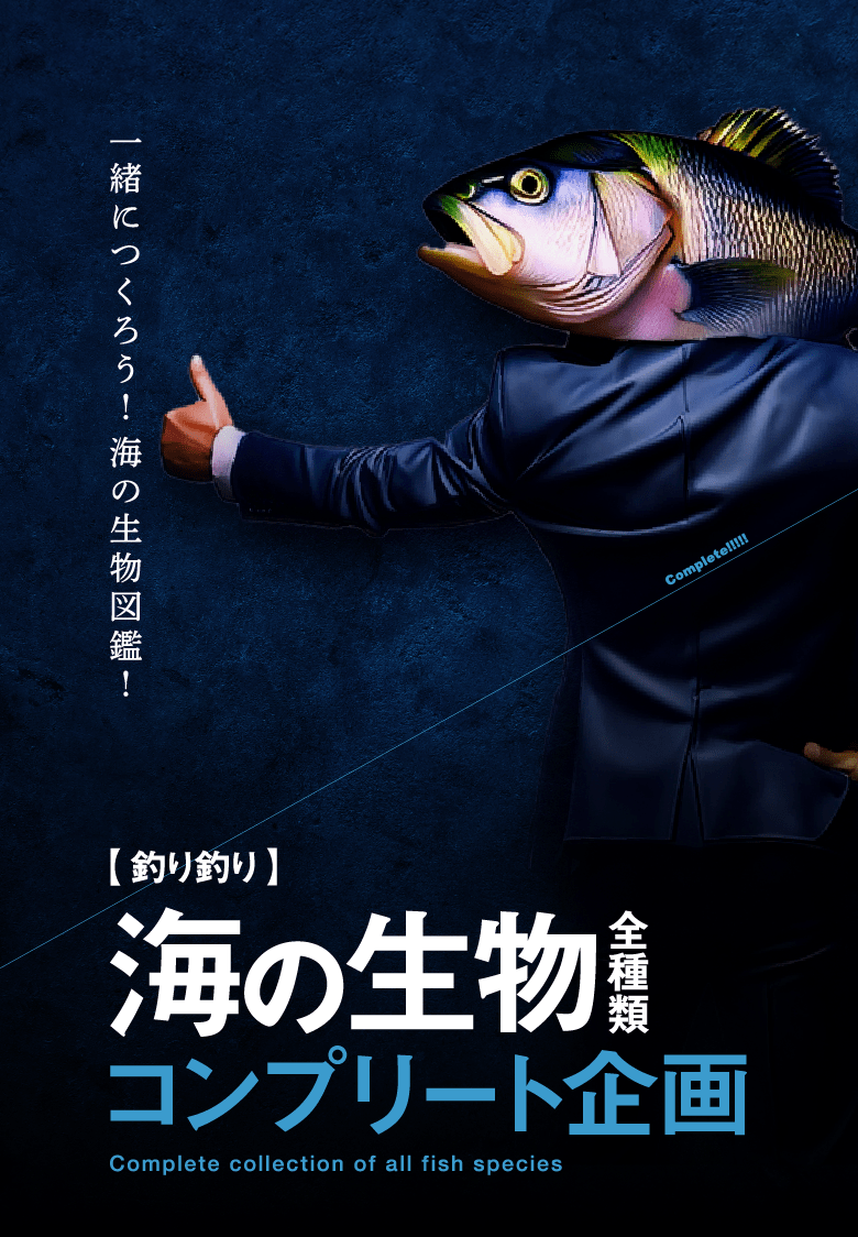 【釣り釣り】海の生物全種類コンプリート企画