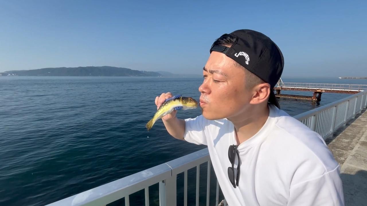 クサフグ
