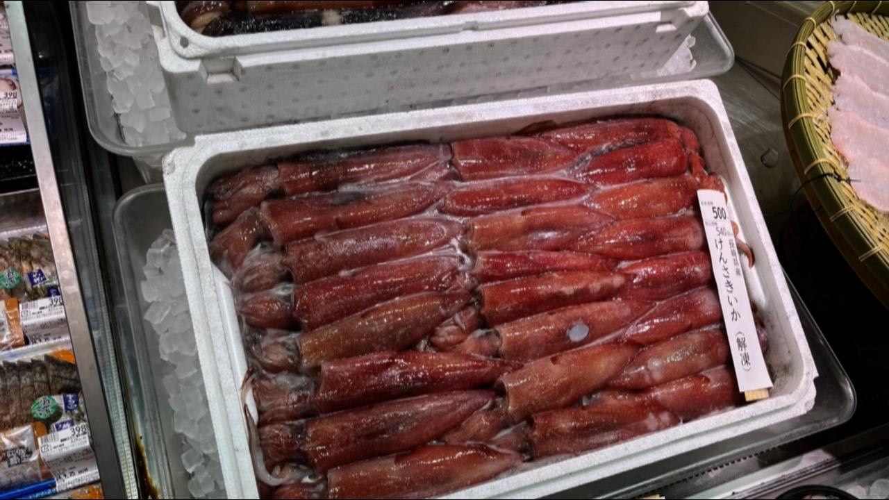 ケンサキイカ