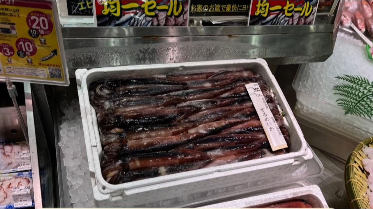 スルメイカ