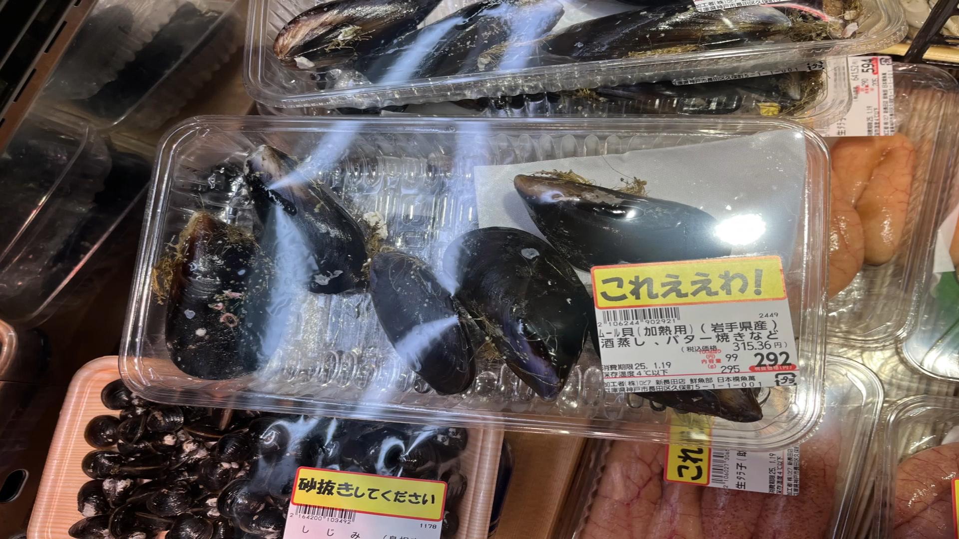 ムラサキガイ