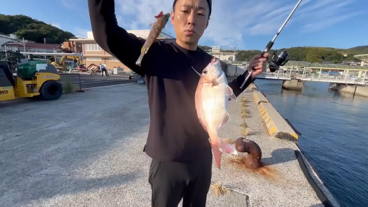 真鯛